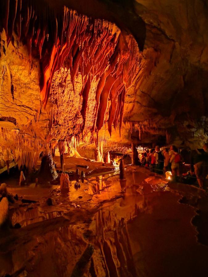 Magnifique Gite En Pierres 6 Personnes Avec Piscine Privee Ardeche Plein Sud Lablachère エクステリア 写真